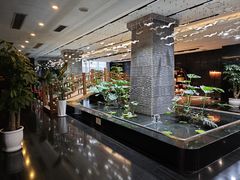 -新廊桥(原科华廊桥店)