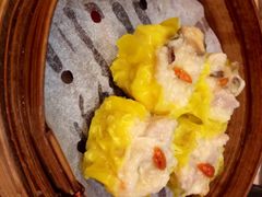 添好运点心专门店(北角店)-添好运点心专门店(北角店)