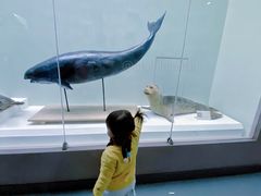 -国家自然博物馆