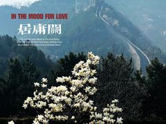 -居庸关长城