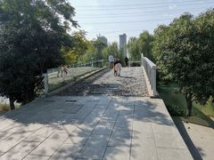 -九里河湿地公园