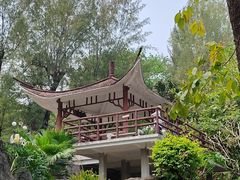 -晓港公园