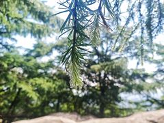 -崂山巨峰游览区