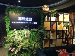 点击看大图 -藤野造型