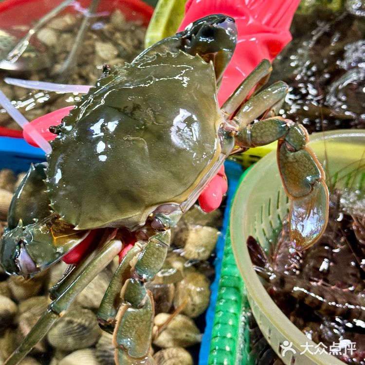 小青龙，大螃蟹，生蚝，鲍鱼，海螺！这一堆才花了三百多