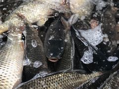 -三旗百汇商品城