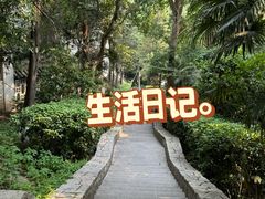 -北极阁公园