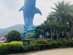 -珠海长隆海洋王国