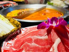 -楠火锅(仁恒梦中心店)