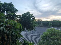 -班赞海鲜市场