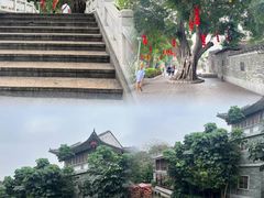 -荔湾湖公园
