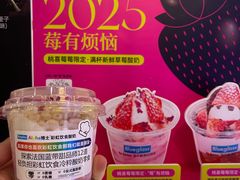 -Blueglass酸奶(财富购物中心店)