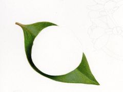 -东方童画少儿美术(莘庄体验馆)