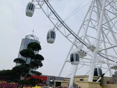 -泰盛楼顶摩天轮