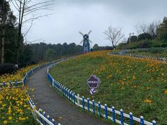 -铁山坪森林公园