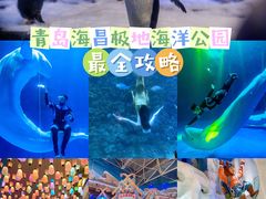 -海合安青岛极地海洋公园