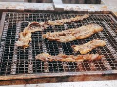 -桃花丼烧肉饭(凯丹商场店)