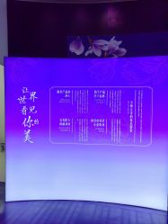 -黛莱皙护肤美妆