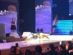 -南京阿波罗演艺广场