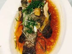 -海皇食府(水都假日酒店店)