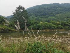 -四川省成都市彭州市白鹿镇