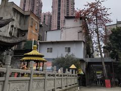 -华林禅寺