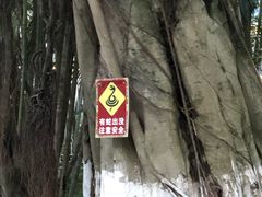 -珠海圆明新园