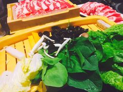 -渔傅·蓝海岸霞浦海鲜(正祥店)