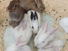 -FAIRYLAND龙族星球主题餐厅(凯丹广场店)