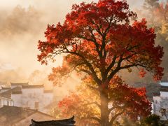 -塔川景区