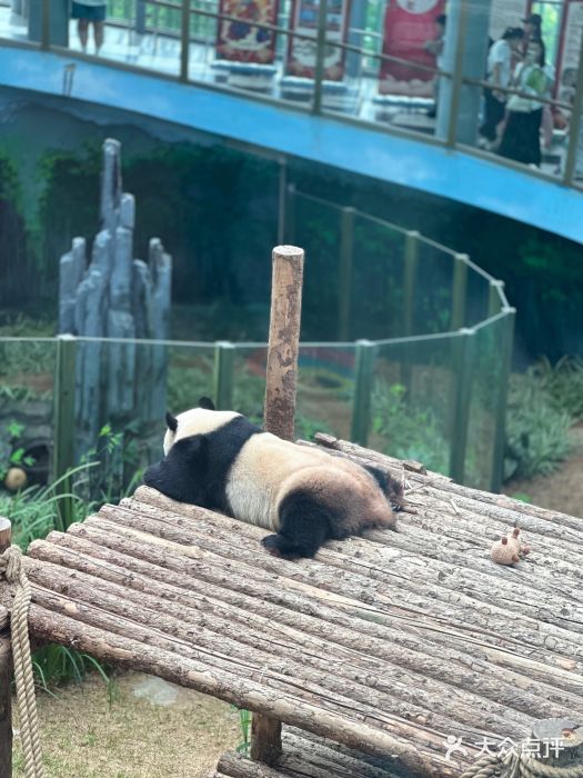 大连森林动物园图片