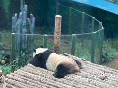 -大连森林动物园