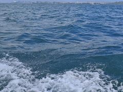 -东姑阿都拉曼海洋公园