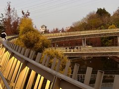 -福道