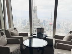 -上海柏悦酒店