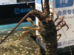 -盒马鲜生(曜一城店)
