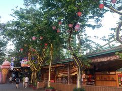 -长鹿旅游休博园