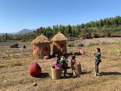 -塔川景区