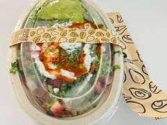 -油梨树AVOCADO TREE(望京店)