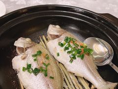 -酌宴府The China Club·广州万富希尔顿酒店(云城东路店)