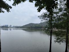 -顺峰山公园