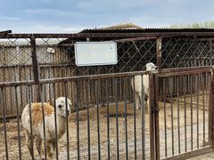 -河北村民俗体验园