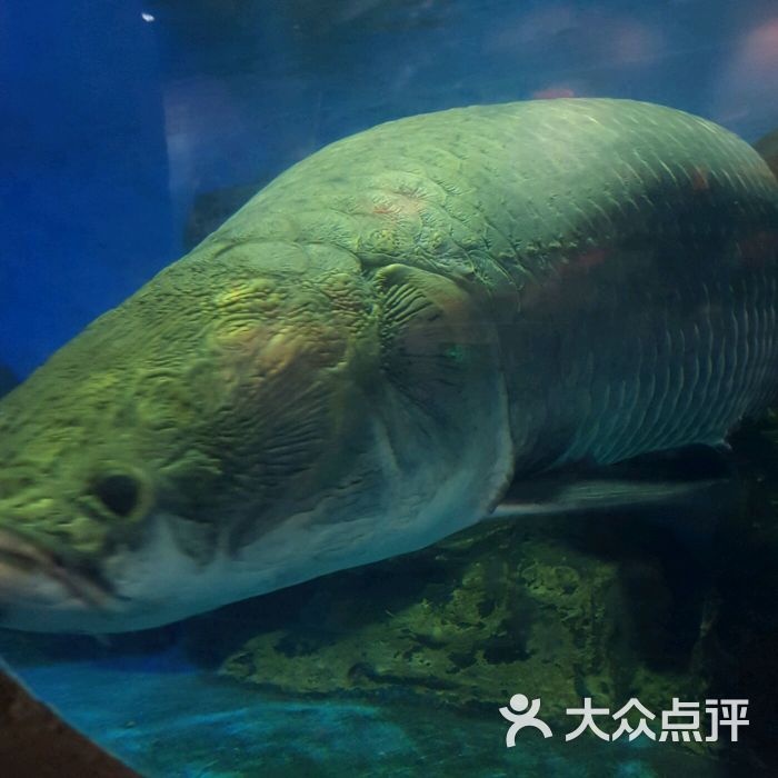 北京自然博物馆图片 - 第3张