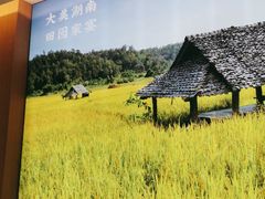 -湘邻呷铺·田园家宴(汉基广场店)