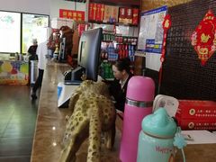 -大眼锅贴饺子(河西店)