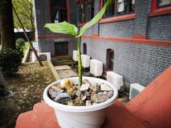 -四川大学华西第四医院