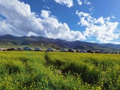 -青海湖国家重点风景名胜区