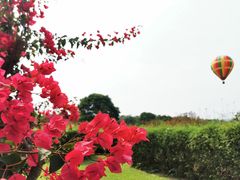 -中国科学院西双版纳热带植物园