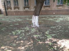 -辽宁大学(崇山校区)