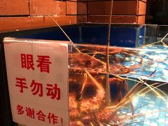 -广东道至正餐厅(区庄店)
